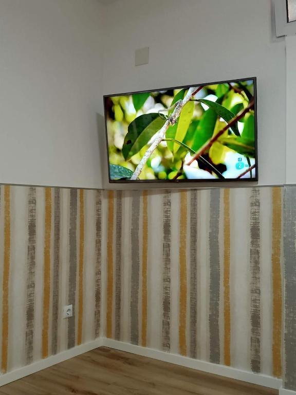 Televízia a/alebo spoločenská miestnosť v ubytovaní Ángeles home