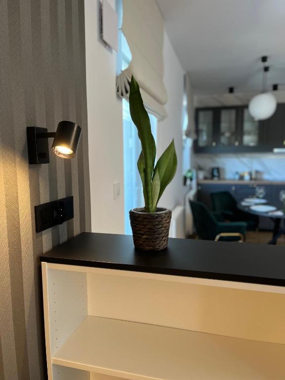 Halo Apartments Check in 24h Privat Parking - 1