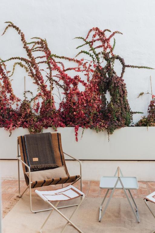 Plácido y Grata - Resim 4