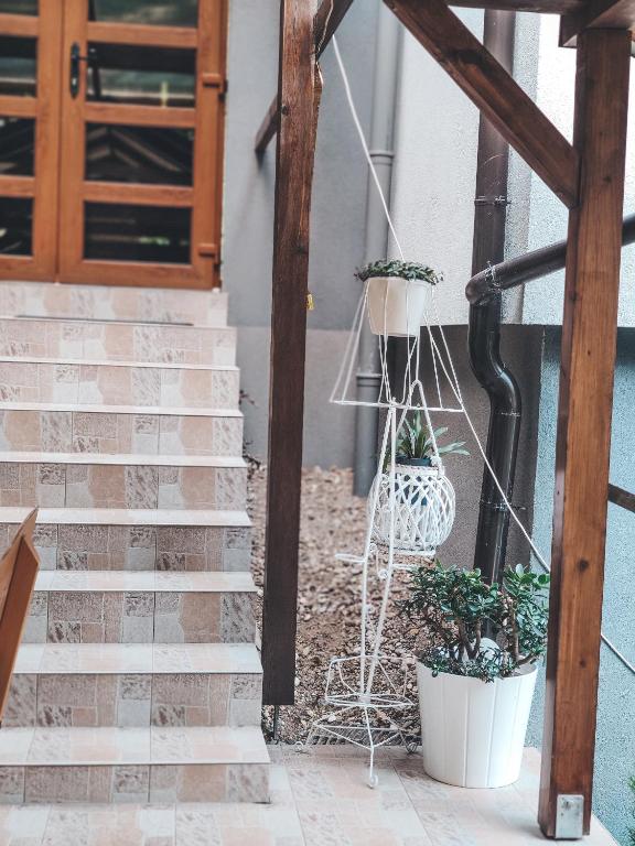 Fotografie z fotogalerie ubytování Villa-Apartments Bognar v destinaci Velika