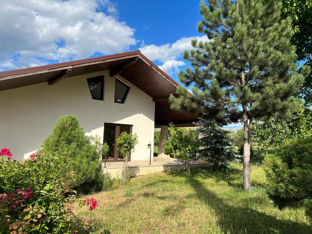 una casa con un albero di fronte di Casa Rafael a Sighetu Marmaţiei