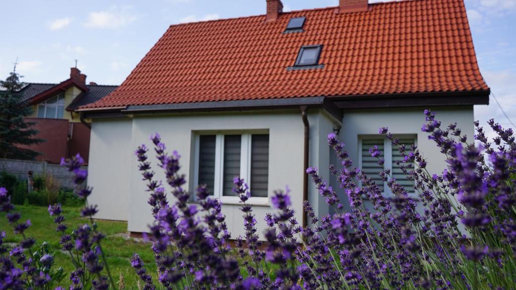格但斯克的住宿－Dom w sercu Gdańska，白色的房子,有红色的屋顶和紫色的鲜花