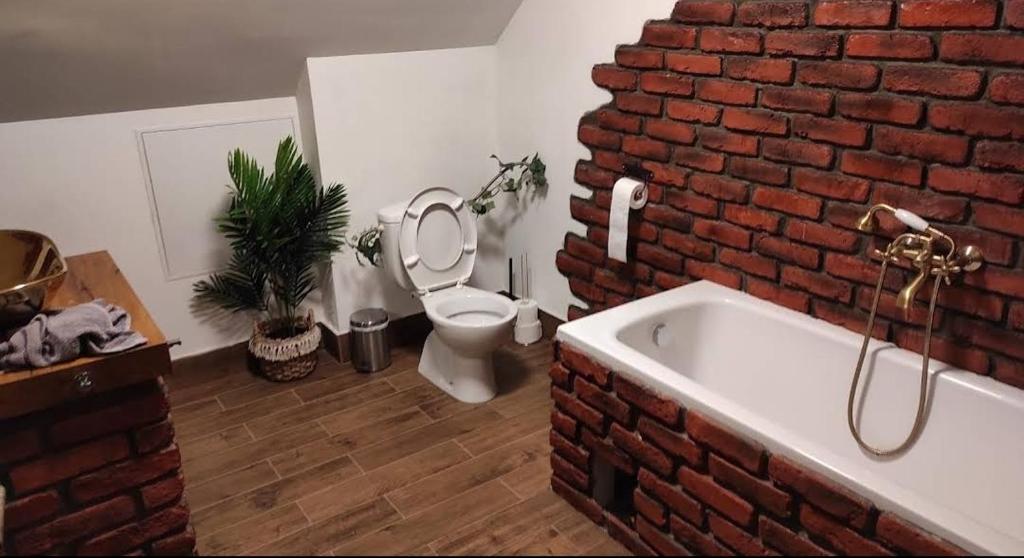 Ένα μπάνιο στο Kuća za odmor Bakina Divljaka