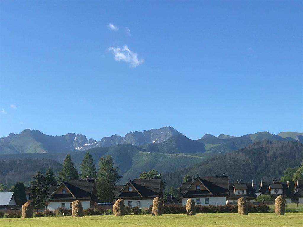 a group of hay bales in a field with houses and mountains at Camping Zakopane Willa Skoczek oferta nie dotyczy noclegu w pokoju in Zakopane