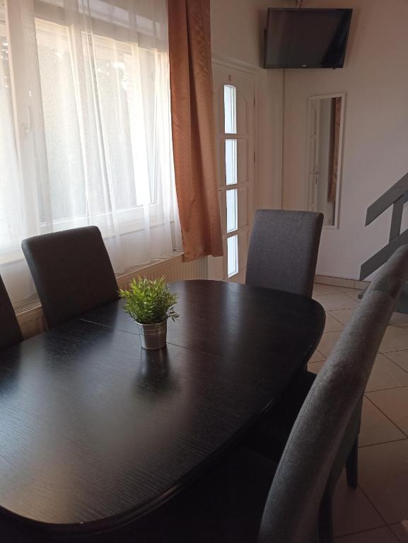uma mesa de jantar preta com cadeiras e uma planta em Marcell Apartman em Hajdúszoboszló