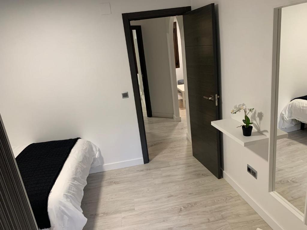 APARTAMENTO LAS NIÑAS - 15