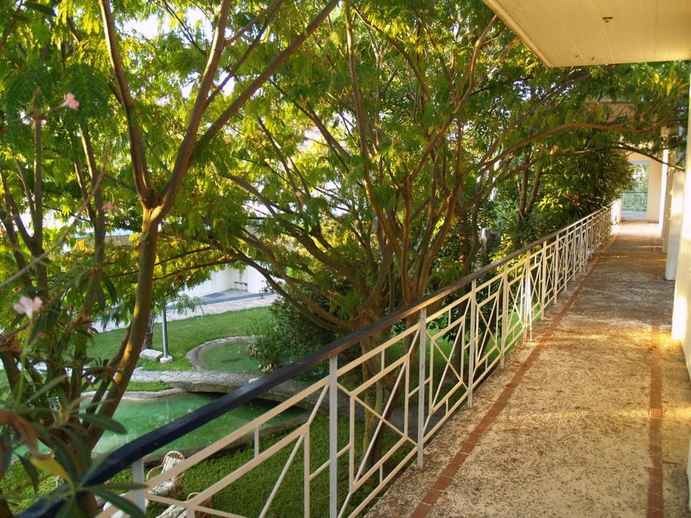 Zahrada ubytování Hotel Cavo Mytikas