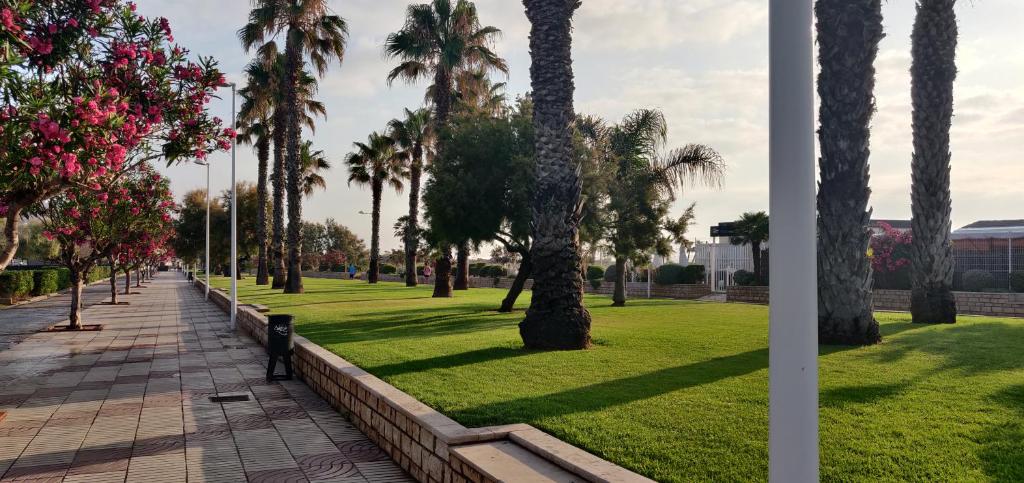Fotografie z fotogalerie ubytování Apartamento en Canet Playa con Parking y WIFI v destinaci Canet de Berenguer