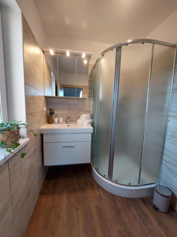 Koupelna v ubytování Lednický apartmán