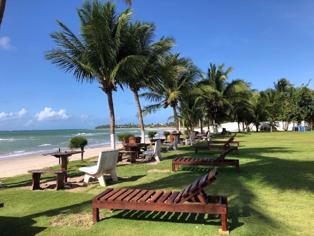 una fila di panchine sulla spiaggia con palme di Praia dos Carneiros apart beira-mar a Tamandaré