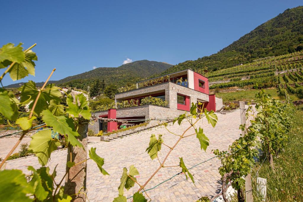 une maison sur le flanc d'une colline avec des montagnes dans l'établissement Nebbiolo Wine B&B, à Castione Andevenno