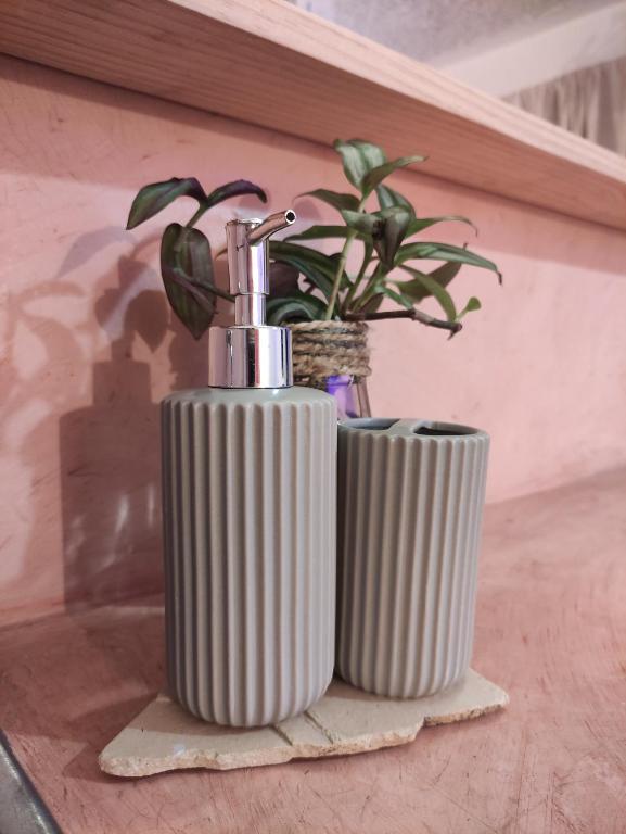 Fotografie z fotogalerie ubytování Hostel Boutique 55 v destinaci San Cristóbal de Las Casas