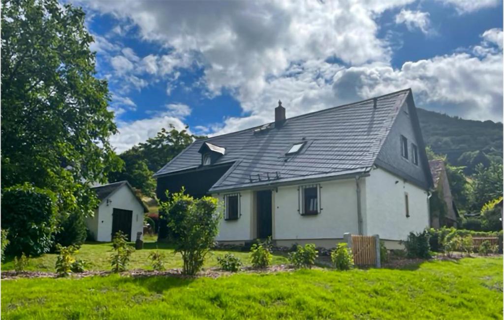 une maison blanche avec un toit noir dans l'établissement Ferienhaus Lausche Haeusl, à Waltersdorf