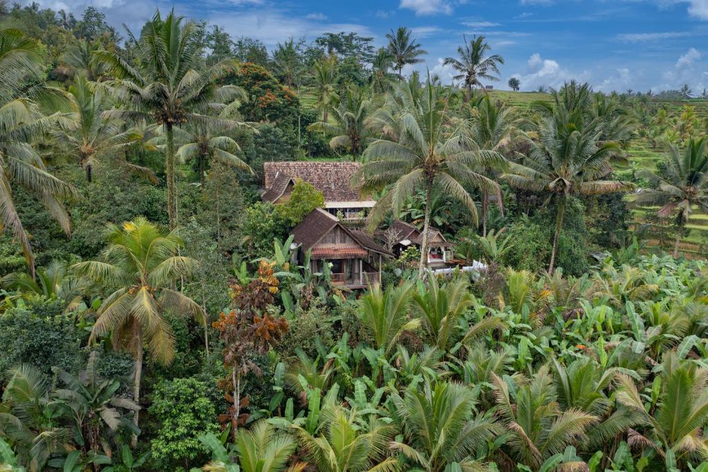 Et luftfoto af Nienté Bali