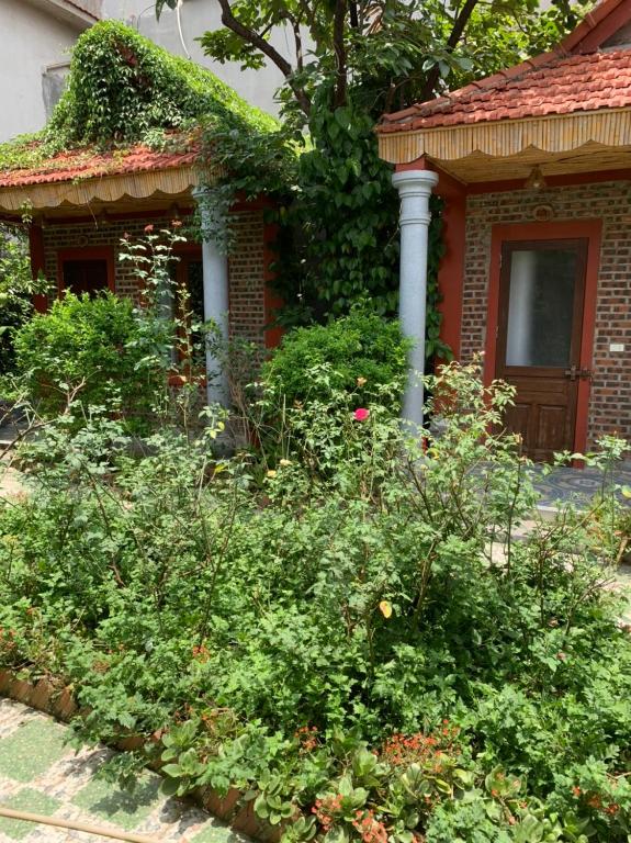 Tam Coc Tropical Garden - 16