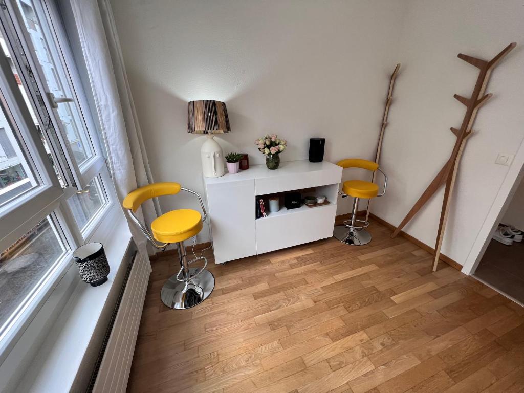 Private Stylish Modern Studio In The City Centre, Geneva (updated