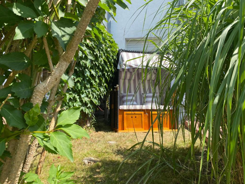 Ferienapartment Casa Heideblick mit Sonnenterrasse & Garten, Radeberg