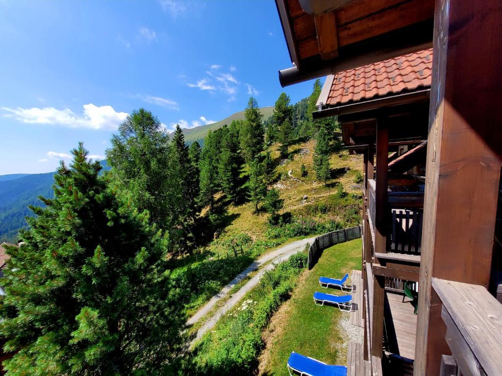 Príroda v okolí apartmánu