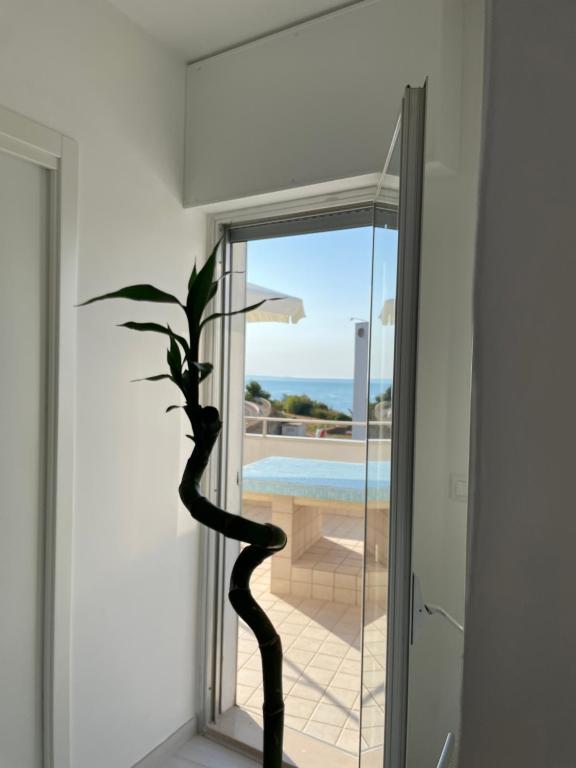 a plant in a window with a view of a pool at BREZZA DI MARE - attico vista mare con terrazza in Termoli