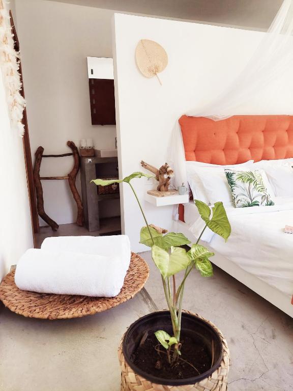 Les Terrasses du Bénitier - 2