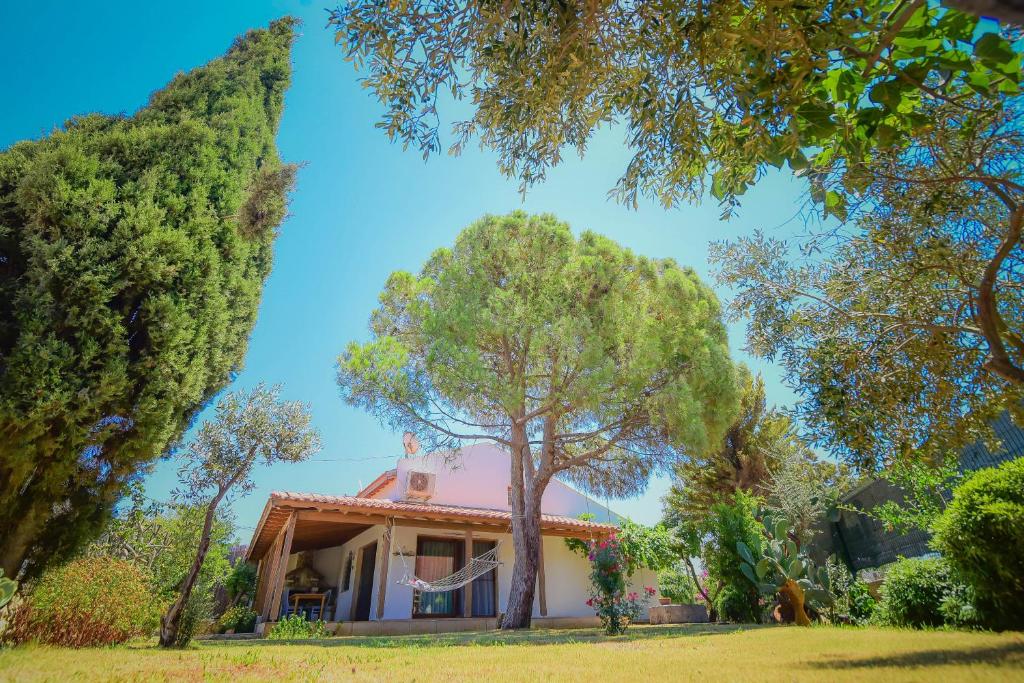 Cozy house in Çeşme, Super Host