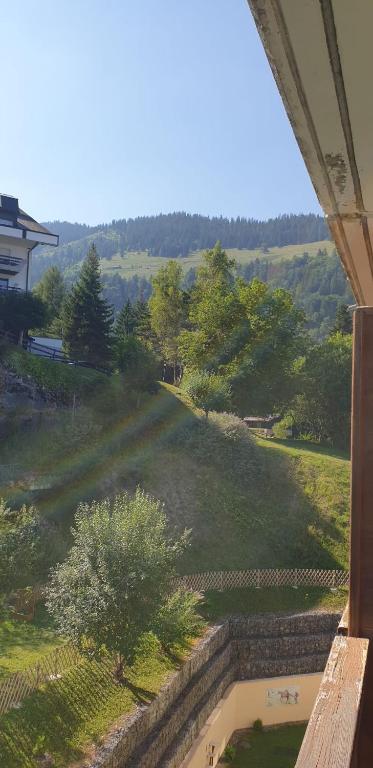 Příroda nedaleko apartmánu