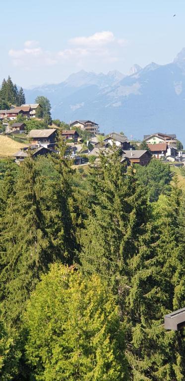 Příroda nedaleko apartmánu