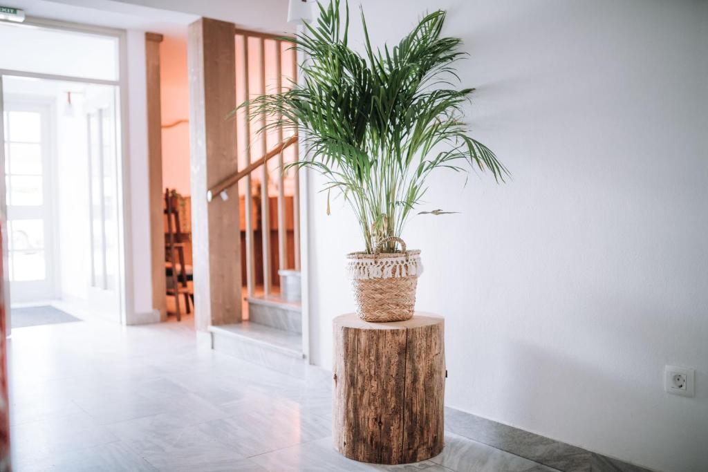 Fotografie z fotogalerie ubytování Apartmaji Triglav v destinaci Bohinj