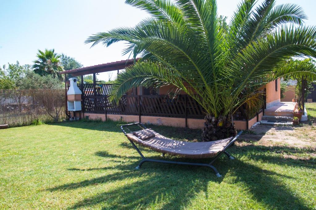 a hammock sitting in a yard next to a palm tree at Villetta indipendente vicino aeroporto in Fiumicino