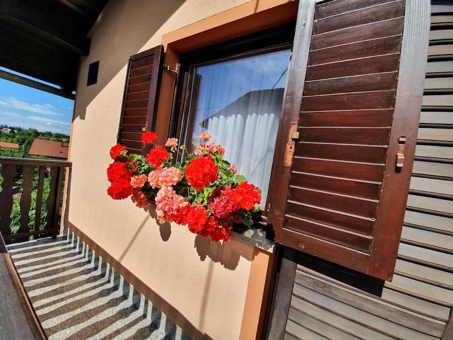 Kuca za odmor Juraj - Apartmani Barsic