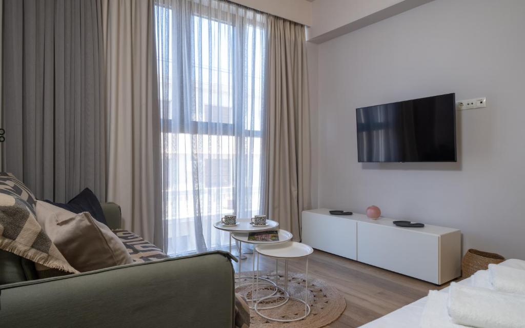 Kolokotroni Lofts Syntagma - 标准工作室