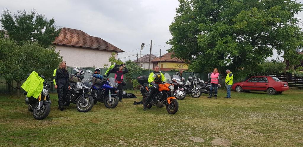 Hosté ubytování Pensiunea Magnolia din Tismana