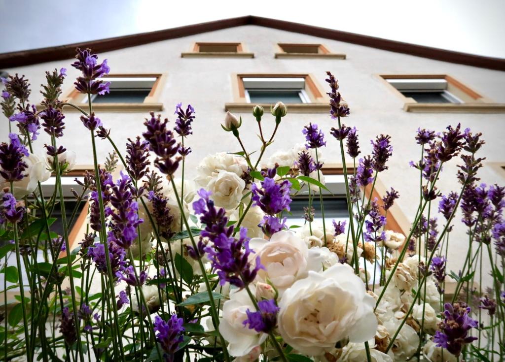 een veld van paarse en witte bloemen voor een gebouw bij Ferienwohnung Düsel in Maroldsweisach