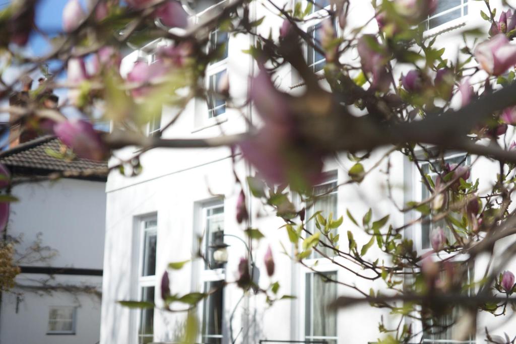 a white building behind a tree with pink flowers at Stunning pied-a-terre moments from the water. in Netley