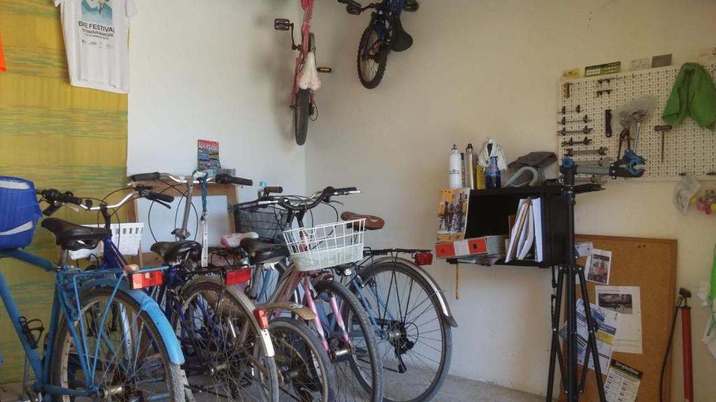 Jízda na kole v ubytování A Casa Di Pici nebo okolí