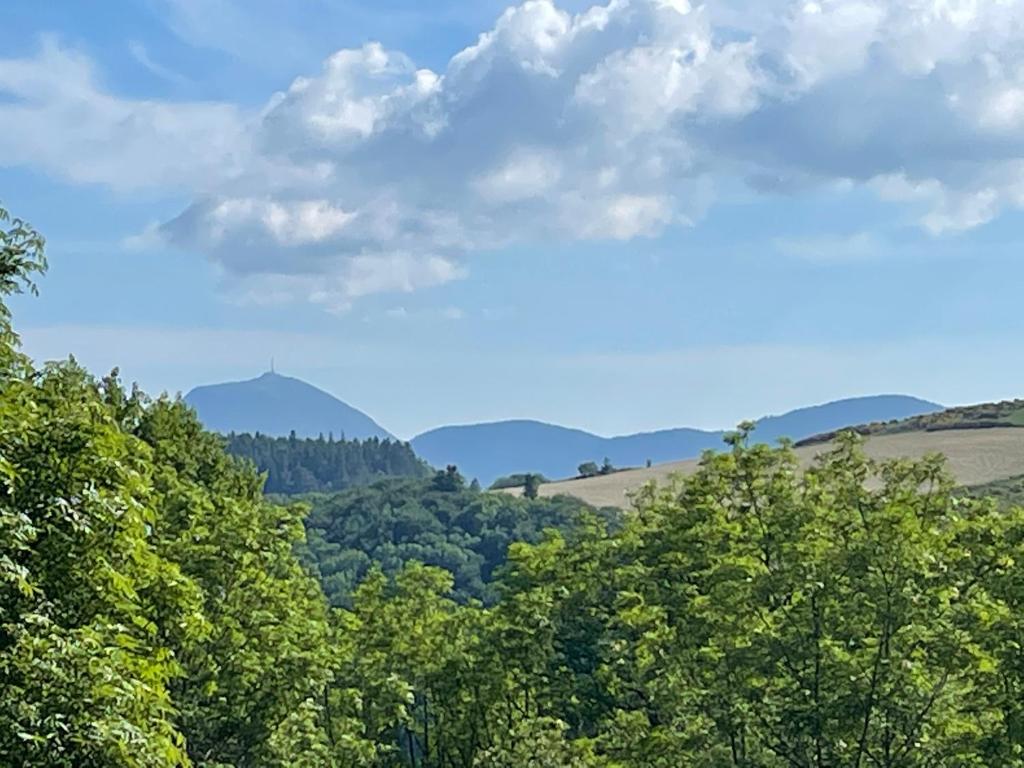 un grupo de árboles con montañas en el fondo en La grange en Orcival