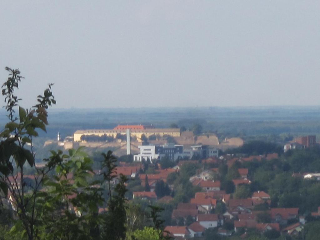 Příroda nedaleko apartmánu