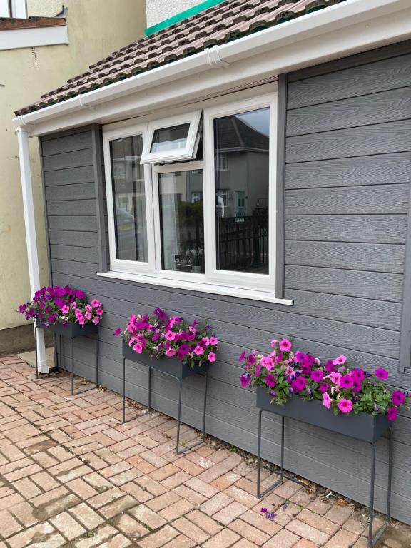 a row of flowers in front of a window at Studio16 in Bristol