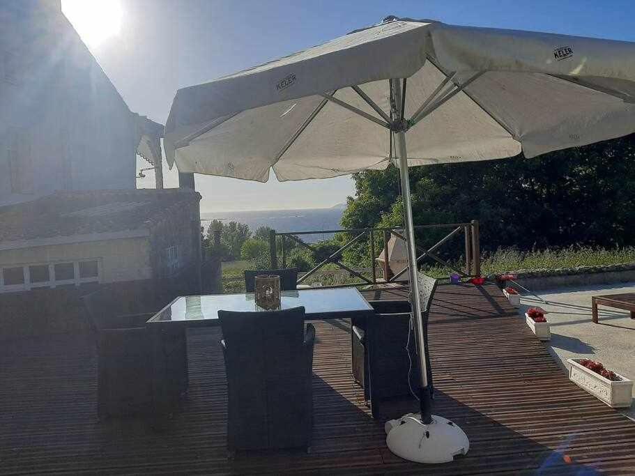 Príroda v okolí dovolenkového domu