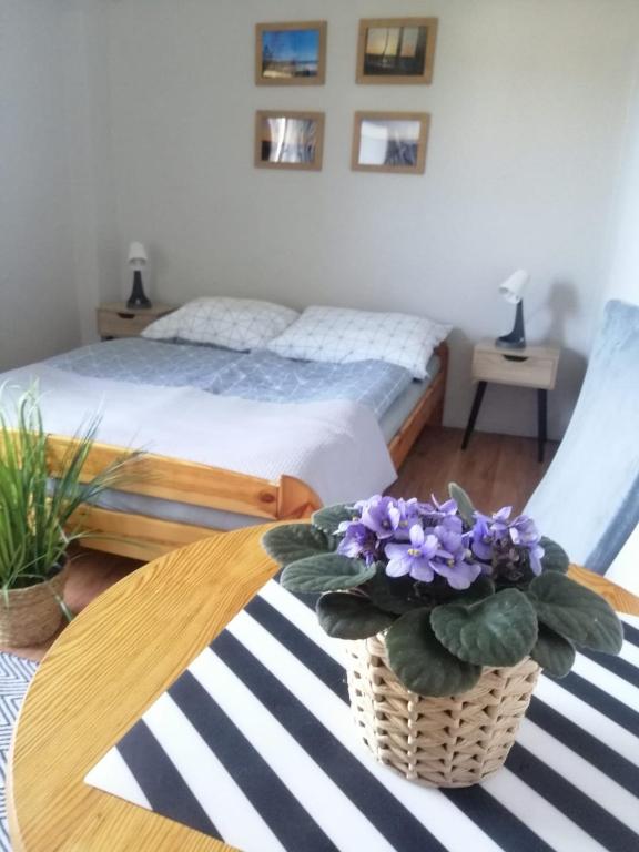 a bedroom with a bed and a potted plant on a table at 117 in Łeba