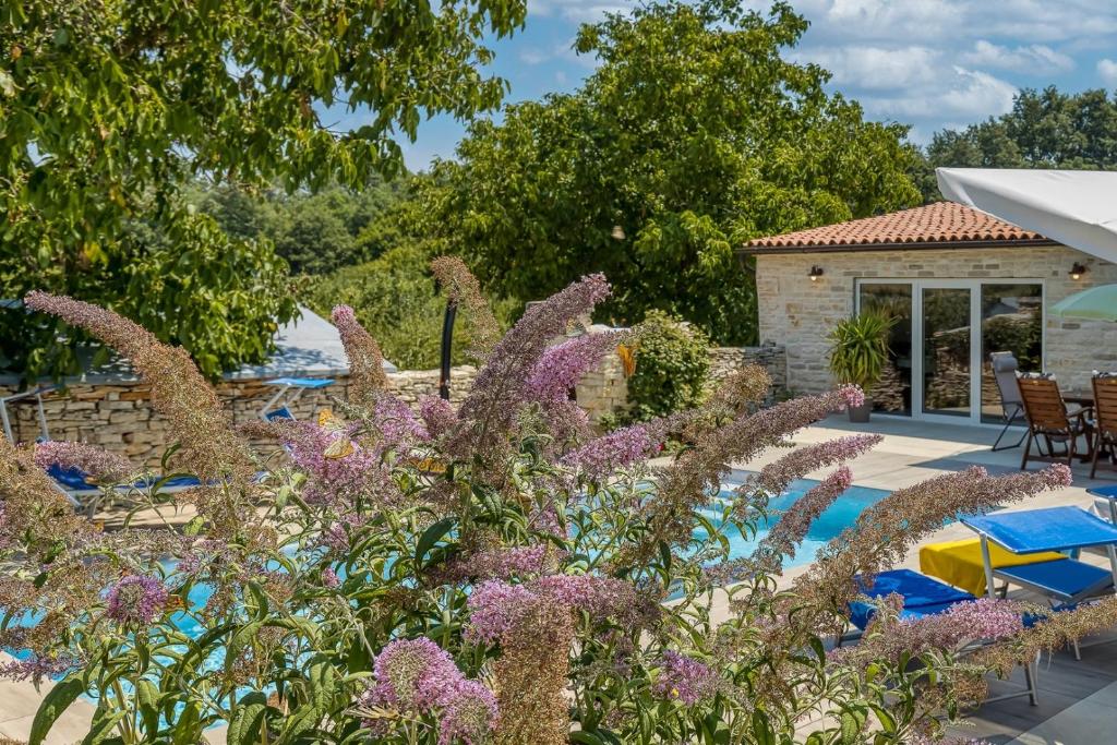 Vonkajšia záhrada v ubytovaní Villa Butterfly