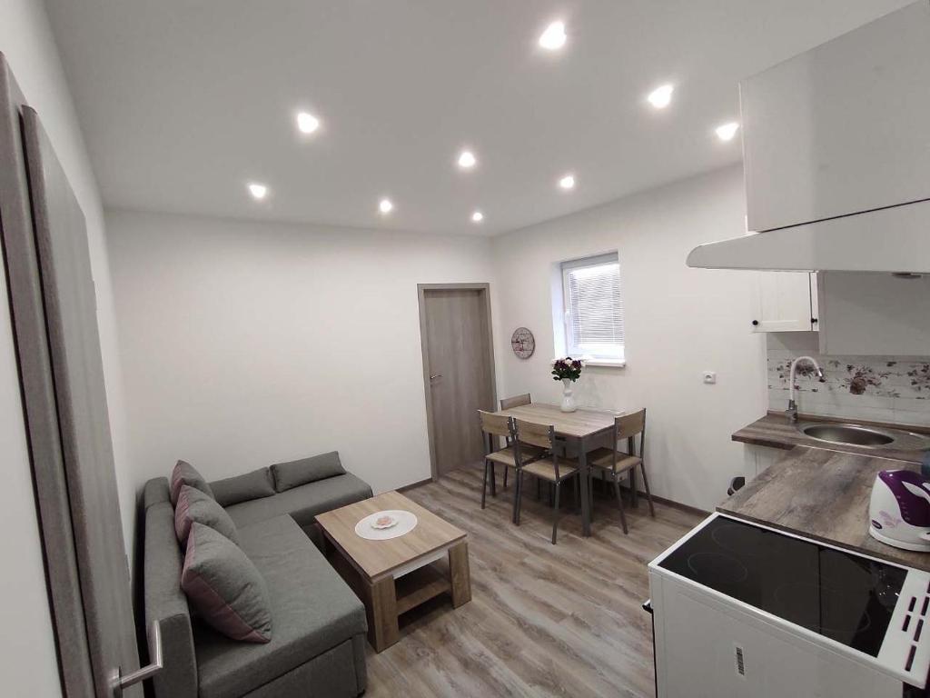 Kuchyň nebo kuchyňský kout v ubytování Apartmán Levandule