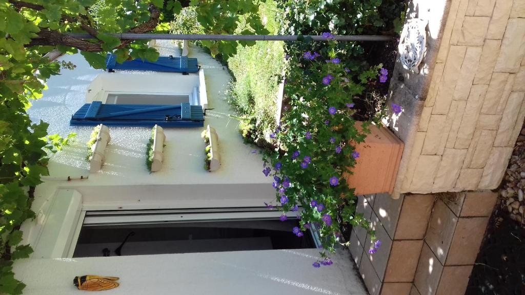 CALME ET NATURE PRES DE LA VILLE - Housity
