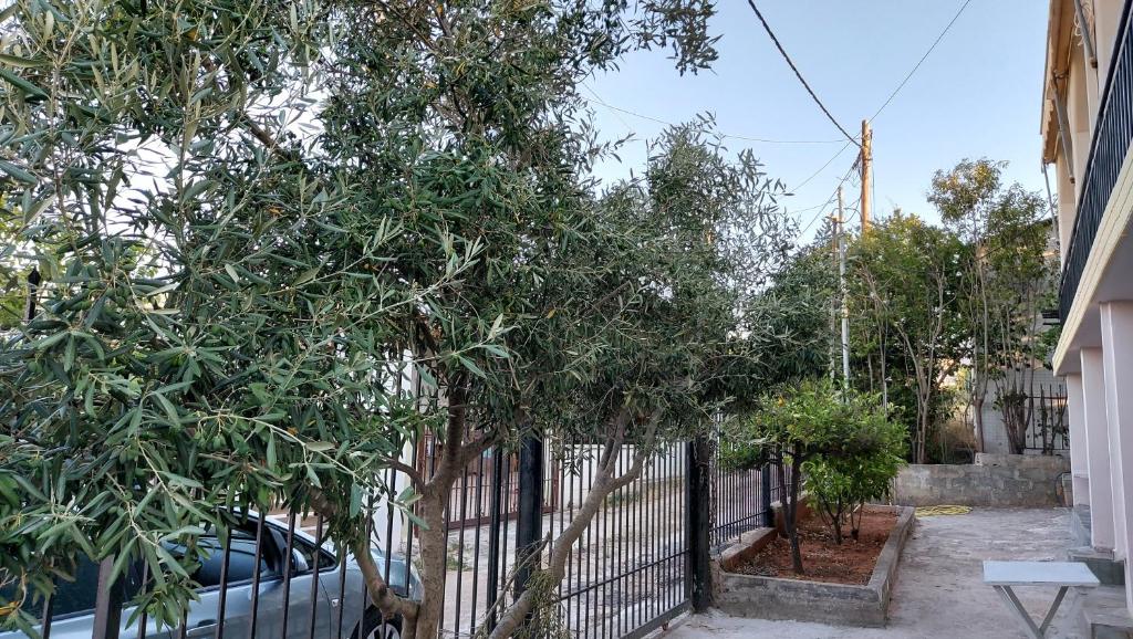 einen Zaun mit Bäumen vor einem Auto in der Unterkunft Helen's cozy studio 2 in Artemida
