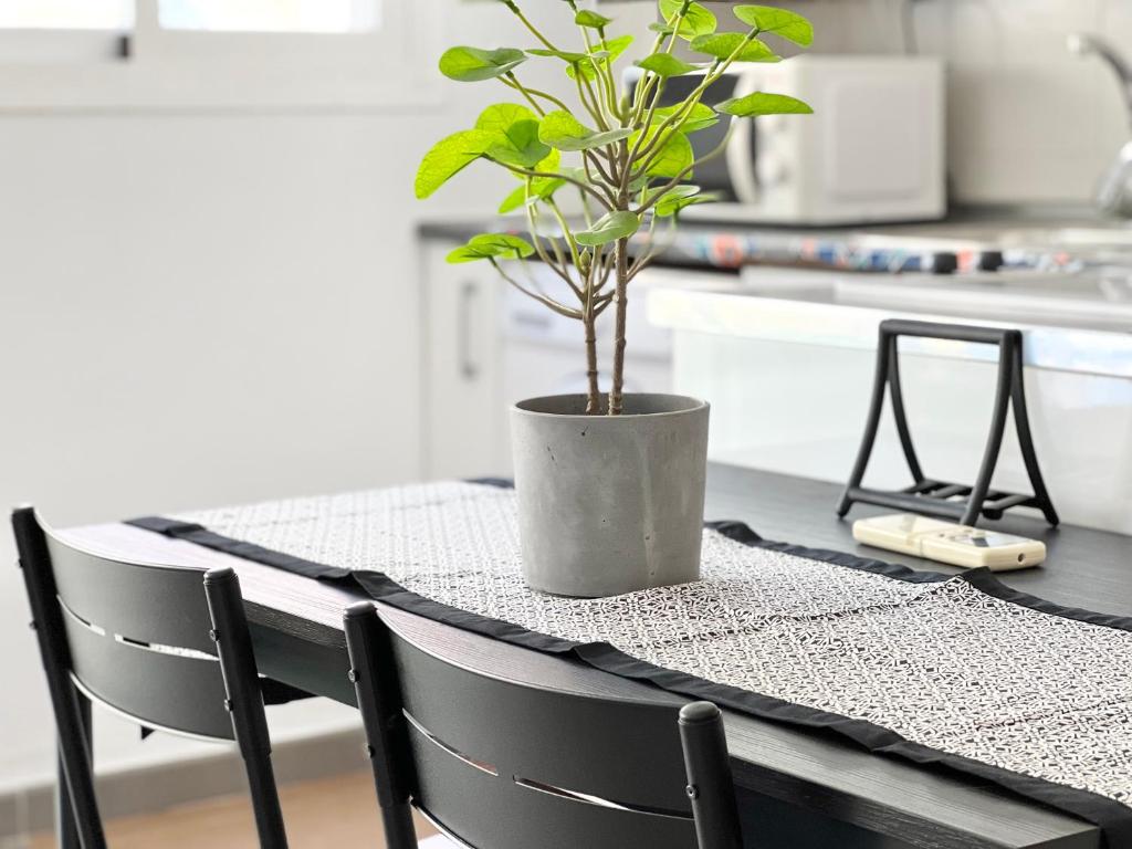 Kuchyň nebo kuchyňský kout v ubytování Apartamentos Varela 14
