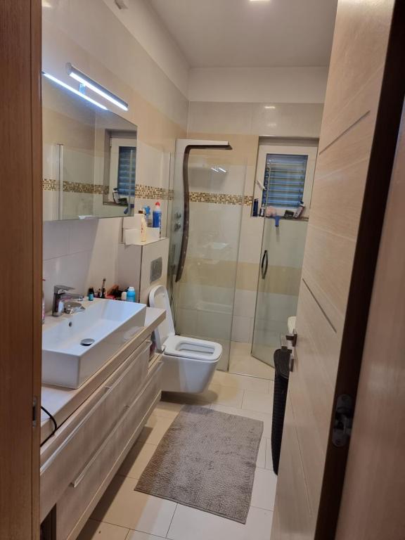 La salle de bains est pourvue d'un lavabo, de toilettes et d'une douche. dans l'établissement ADRIANs HOUSE, à Domžale