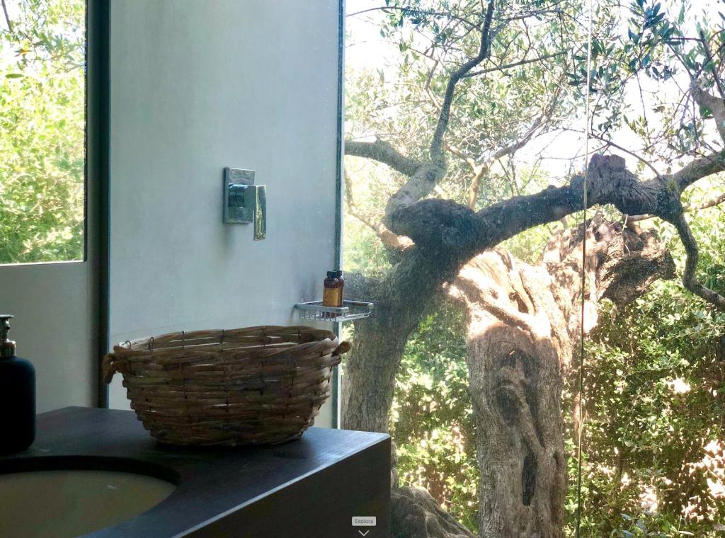 Ogród w obiekcie Luxury Sicily Villas by Geocharme