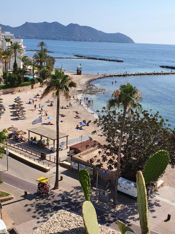 a beach with palm trees and people in the water at Apartamento Torre Bona - Seafront, 10 meters from the beach! in Son Servera