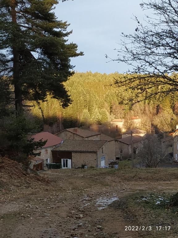 un groupe de maisons dans un champ arboré dans l'établissement Au Chat Perché, à Aix-la-Fayette
