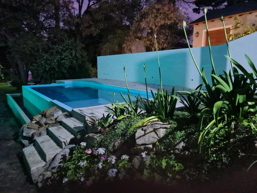 una piscina en un patio con plantas en Tandil Casa Quinta en Tandil